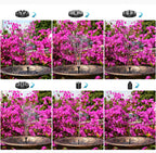 Solar Fountain – Solar Powered, Multiple Spray Modes